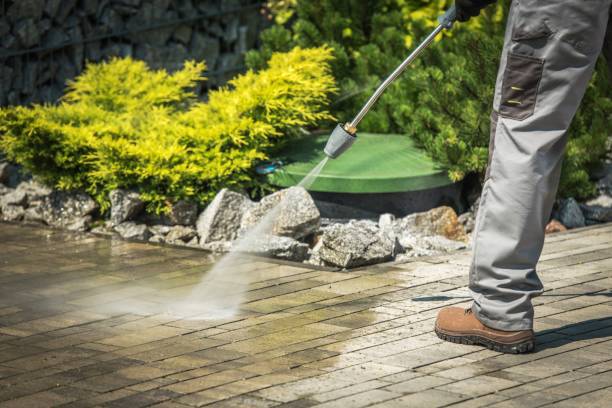 Best Winterizing Services  in Girard, IL